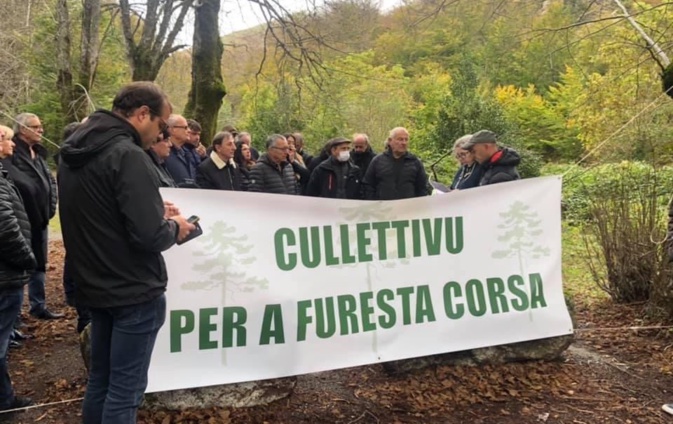 Le Cullettivu per a furesta corsa demande un plan de relance pour la filière bois