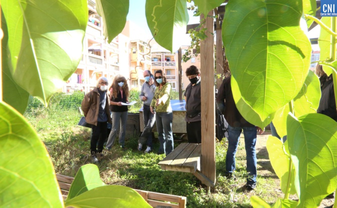 Le jardin du GEM aux Cannes à Ajaccio. Le jardin du GEM aux Cannes à Ajaccio.