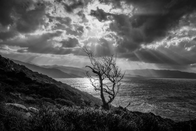 Cargèse-Puntiglione vue sur le golfe de Sagone (Jean-Claude Camu)