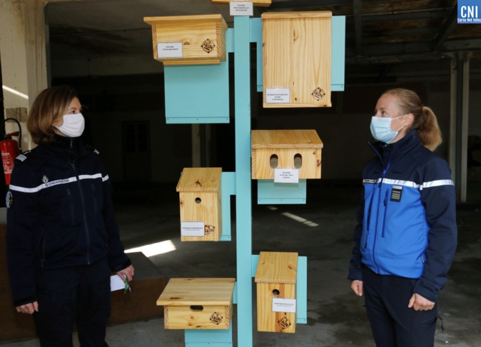 Ajaccio : des nichoirs à oiseaux dans les casernes de gendarmerie