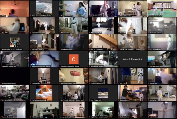 Les séances en visio avec le Grand Maitre Park Moon Soo Les séances en visio avec le Grand Maitre Park Moon Soo