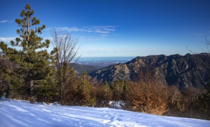 La photo du jour : "merci Ghisoni' La photo du jour : "merci Ghisoni'