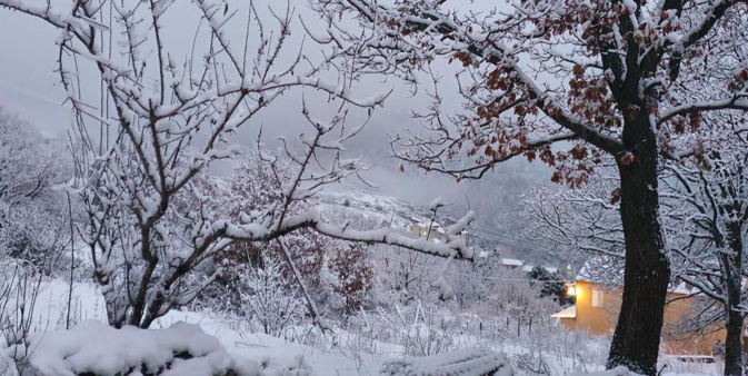 photo slucy2b photo slucy2b