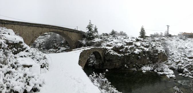 (Laetitia Albertini)