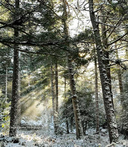 Photo Chantal Portaz Biancarelli