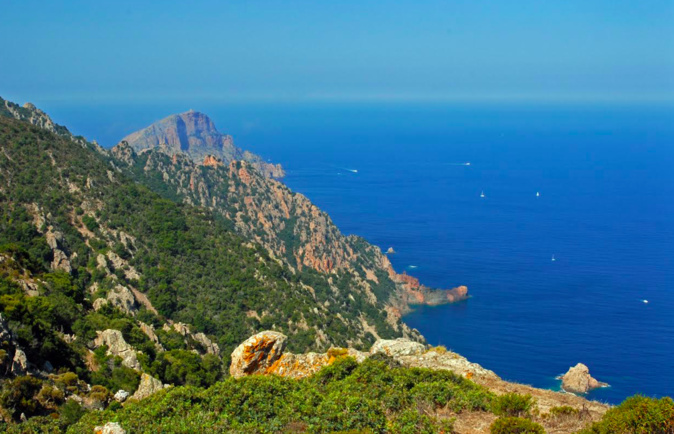 Photo Enrico Chiavacci