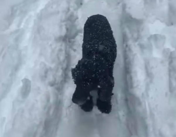Cindy découvre la neige dans un quartier de Madrid