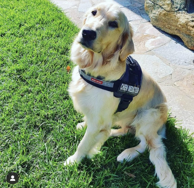 Cap Corse : qui a vu Paglia ? Cap Corse : qui a vu Paglia ?