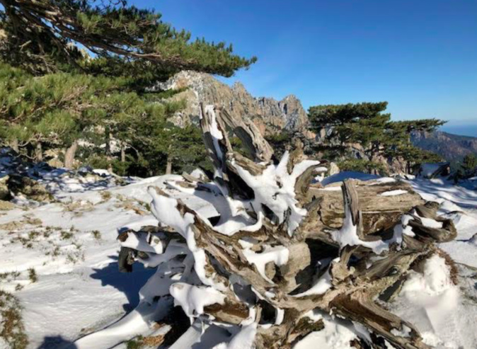 Bavella (Photo Denis Viviani)