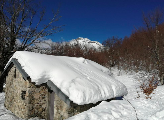 Photo  Bernard Chalbos