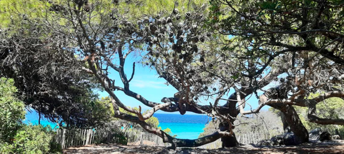 Photo  Isabelle Boilini