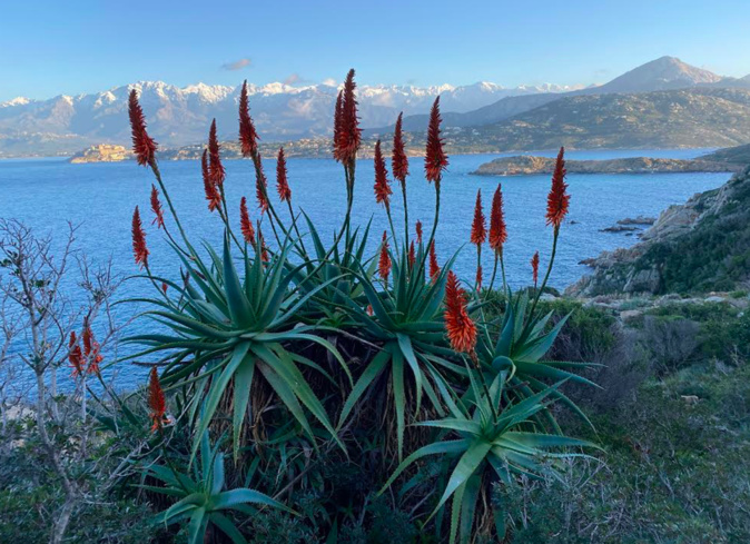 Photo Didier Defforge Photo Didier Defforge