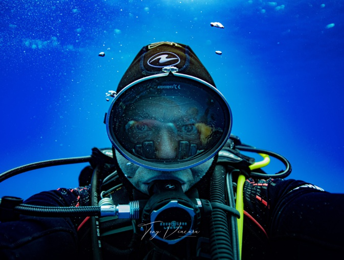 Corse : Tony Viacara, l’homme qui murmure à l’oreille des cétacés