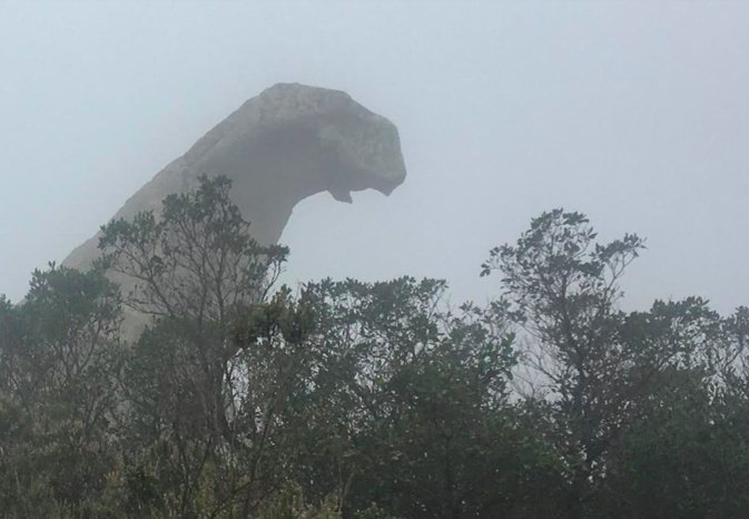 Photo Lechenault Denis