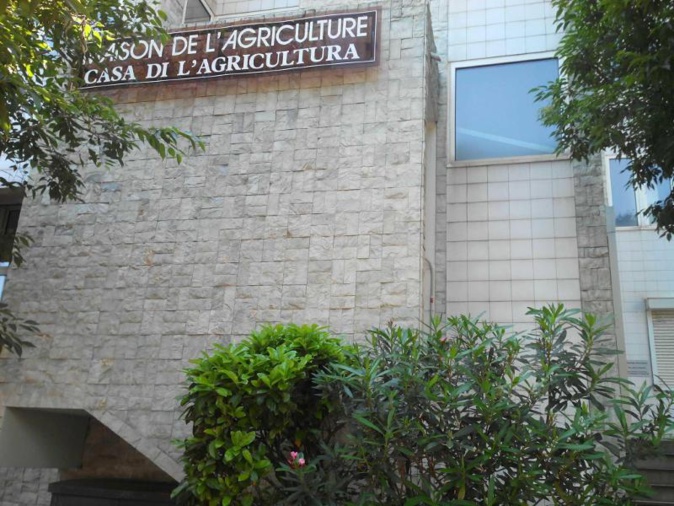 Fraudes aux aides agricoles : la Chambre de l'agriculture de la Haute-Corse pointe du doigt "l'agribashing qui sévit la Corse"