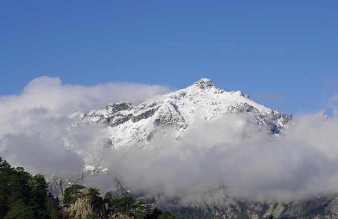 Photo Joseph Dornbusch Photo Joseph Dornbusch