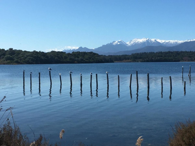 La photo du jour : la quiétude d’Urbinu