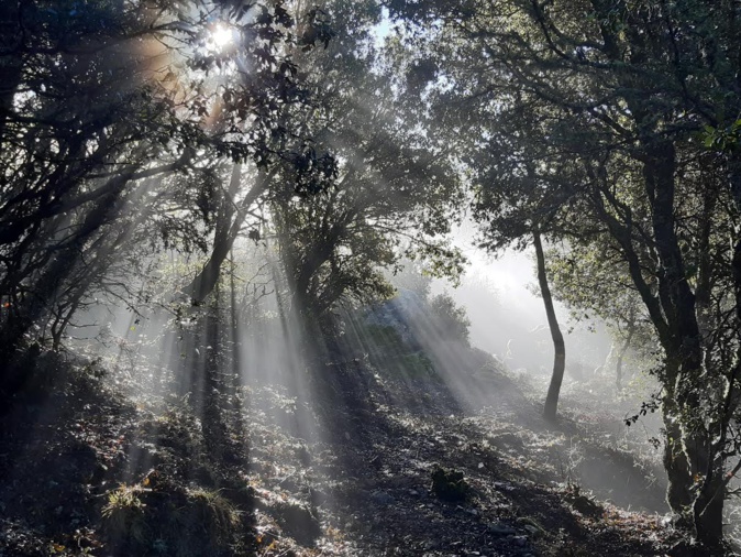 San Petru au petit matin (Photo Pascal Le Dervouet)