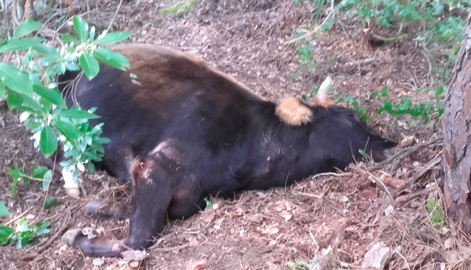 Photo illustration Photo illustration