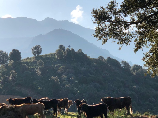Peri : l'antenne de la discorde installée Peri : l'antenne de la discorde installée