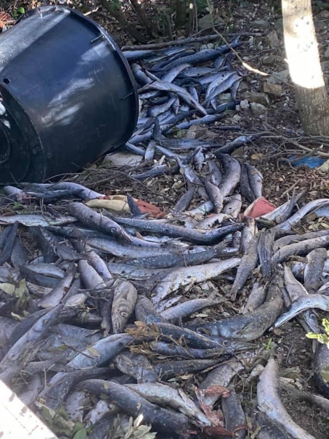 Photos : commune de Morsiglia Photos : commune de Morsiglia