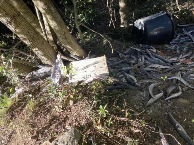 Photos : commune de Morsiglia Photos : commune de Morsiglia