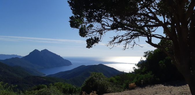 Au col de Palmerella ( Thierry Estève) Au col de Palmerella ( Thierry Estève)