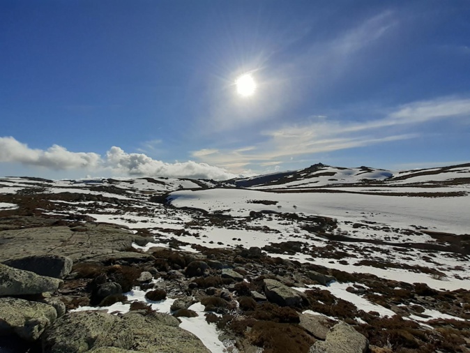 La photo du jour : sur la plateau du Coscionu