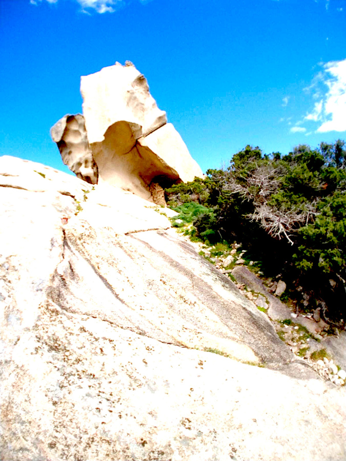 La photo du jour : l'orriu di u Liò di Roccapina
