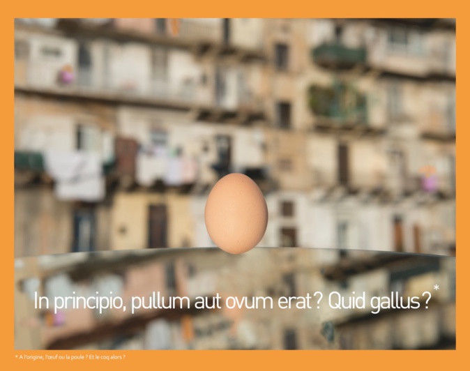 Bastia : "Ti tengu caru ancu eiu" pour lutter contre les discriminations Bastia : "Ti tengu caru ancu eiu" pour lutter contre les discriminations