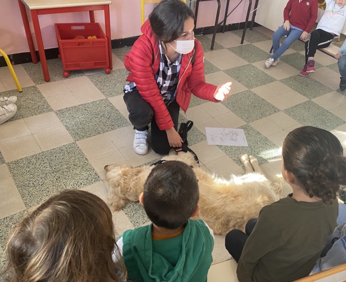 Ici, on apprend comment se comporter face aux chiens. Ici, on apprend comment se comporter face aux chiens.