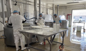 La fabrication du brocciu. La fabrication du brocciu.