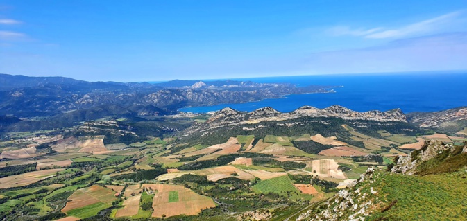 La photo du jour : le beau vignoble de Patrimoniu