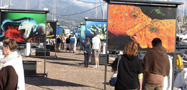  "Planète mers" fait escale au port de plaisance de Calvi