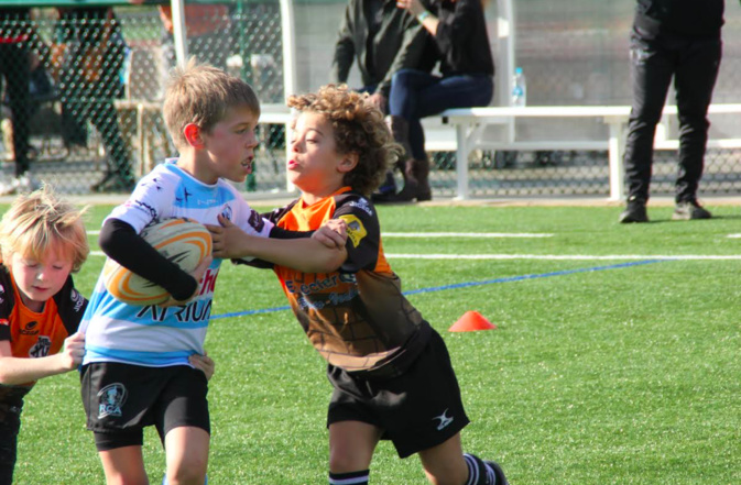 Rugby : Au ras de la mêlée corse Rugby : Au ras de la mêlée corse