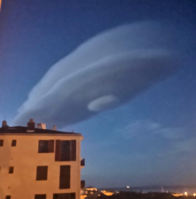 Una bella seppia bastiaccia (Marianne Suzzarini)