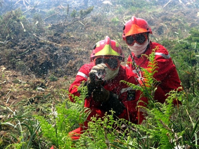 Haute-Corse : 80 bénévoles en ordre de marche contre les incendies de forêts