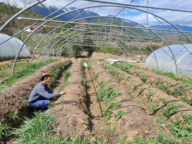 Exit les sillons à ras de terre et le mal de dos, la permaculture c’est aussi optimiser l’espace. Crédits Photo : Pierre-Manuel Pescetti Exit les sillons à ras de terre et le mal de dos, la permaculture c’est aussi optimiser l’espace. Crédits Photo : Pierre-Manuel Pescetti