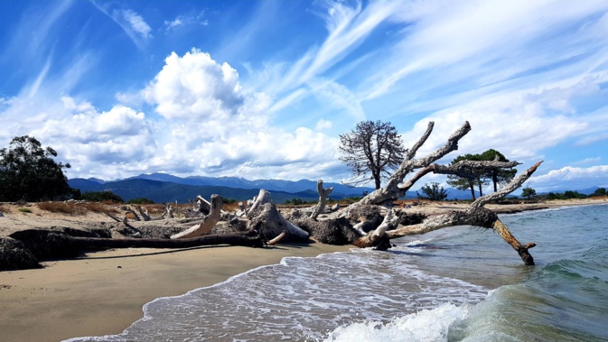 La photo du jour : la plage de Solenzara, les montagnes de Ventiseri La photo du jour : la plage de Solenzara, les montagnes de Ventiseri