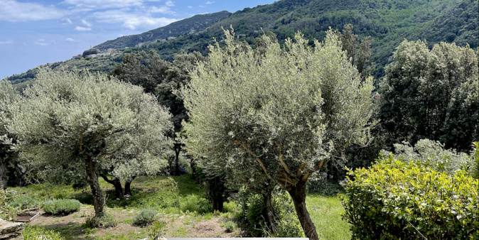 La météo du jeudi 20 mai 2021 en Corse