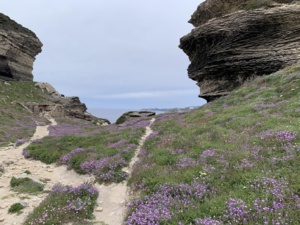 A Bonifacio, les trois pointes en mode printemps (Gap)