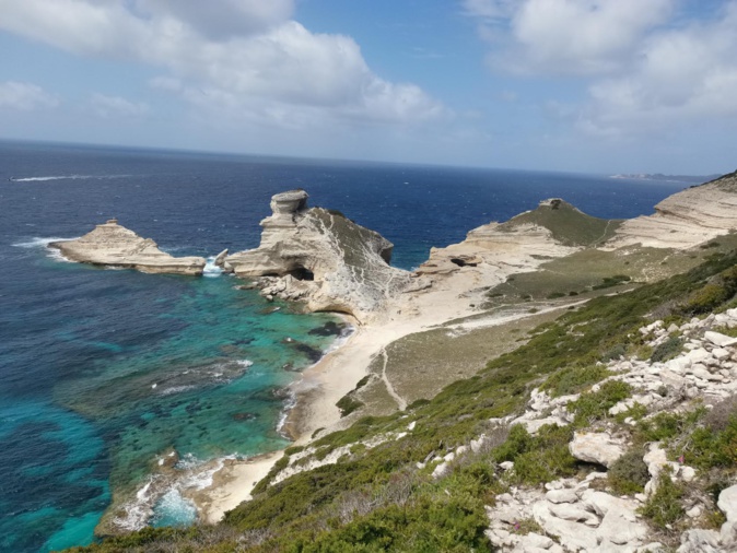 Pertusatu (Marlène Blot) Pertusatu (Marlène Blot)