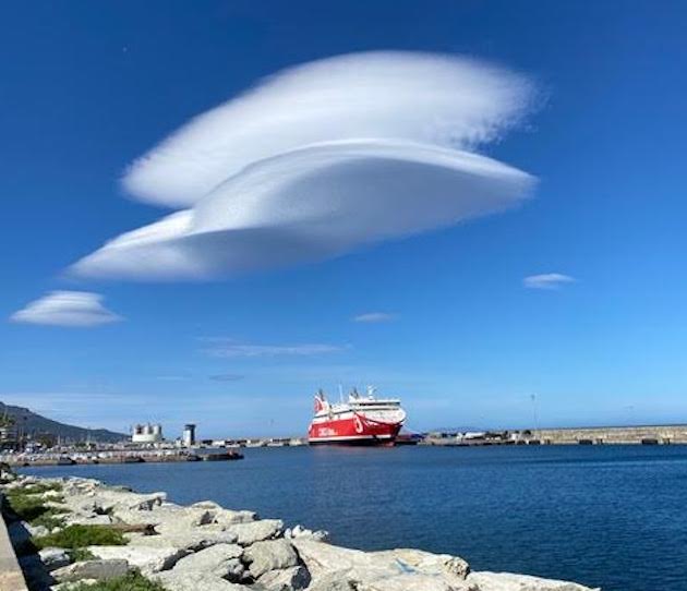 Seppia bastiaccia (André Aspe) Seppia bastiaccia (André Aspe)