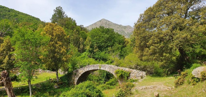 La photo du jour : d'Olmi-Cappella et Musuleu à la vallée de Tartagine