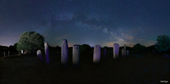 Photo Patrick Nicolaï