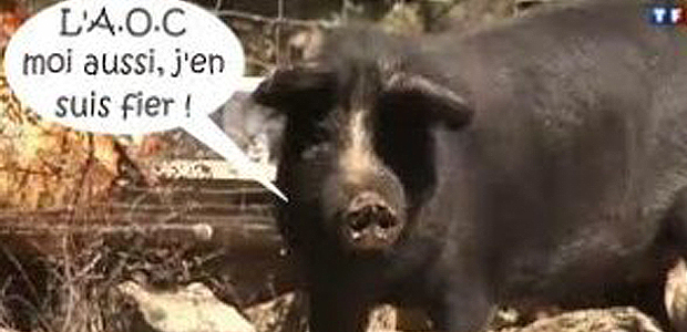 Prisuttu, Appellation d'Origine Corse Prisuttu, Appellation d'Origine Corse