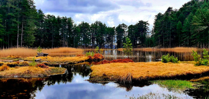 Photo Barbara Laquerriere