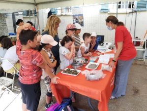 Ajaccio : Affluence record aux journées européennes de l’archéologie