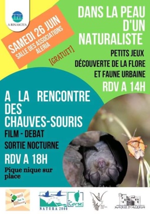 Myotis nustrale, la chauve-souris endémique de Corse présentée ce samedi à Aleria