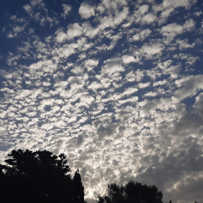 (Photo  Pascal  Le Dervouët )